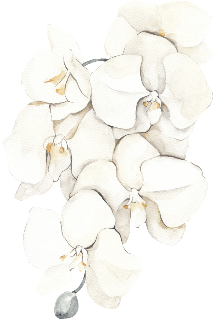 640 (4).png